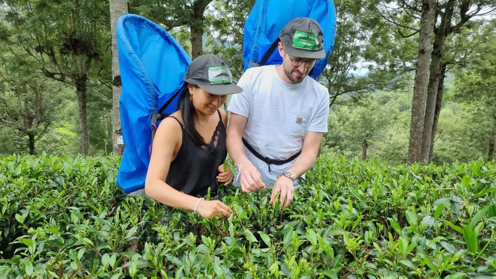 ba175271-023e-4d2e-9f28-61bd719b821b