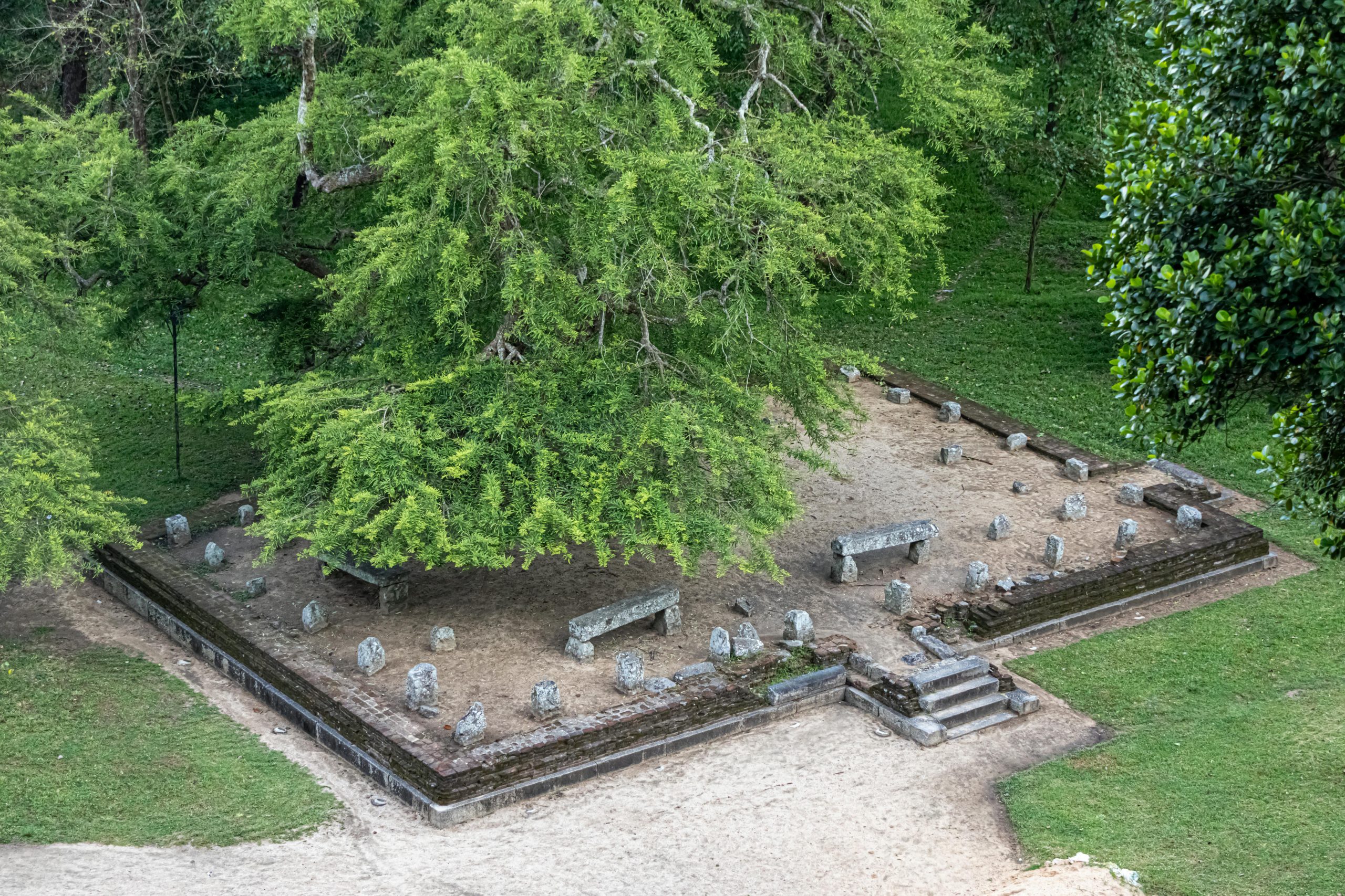 Explore the ancient ruins at Yapahuwa, a historical site in Sri Lanka surrounded by lush greenery.