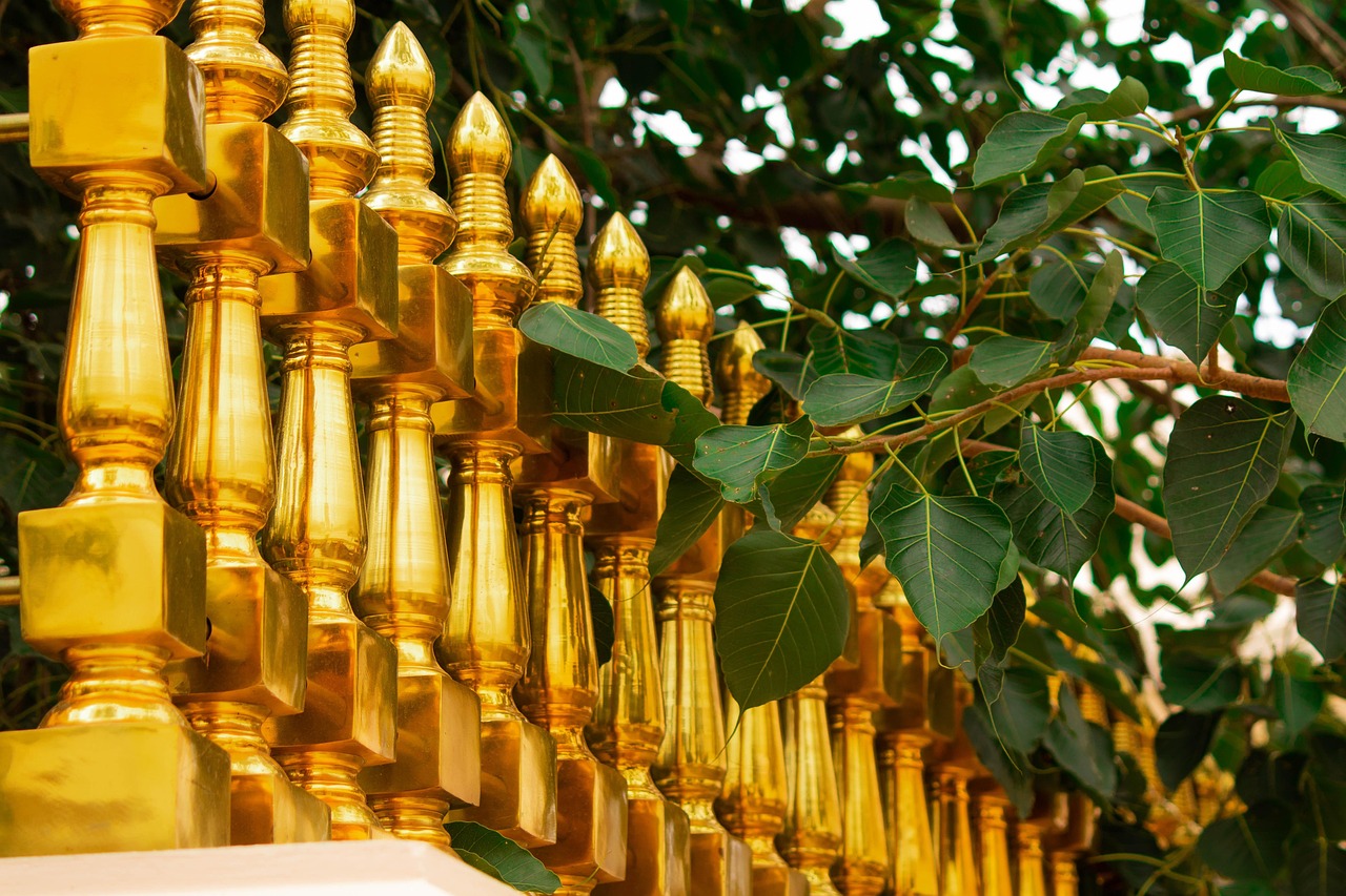 Sri Maha Bodhi