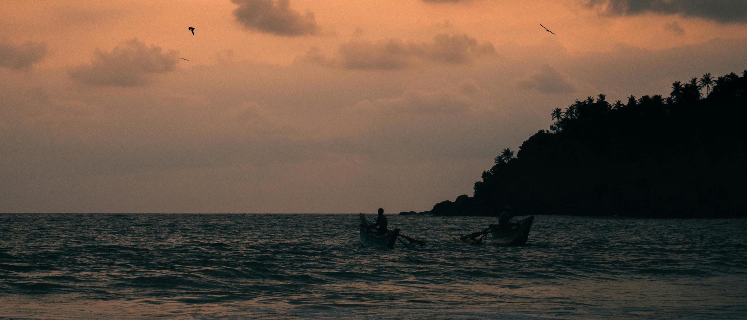 Mirissa Harbour