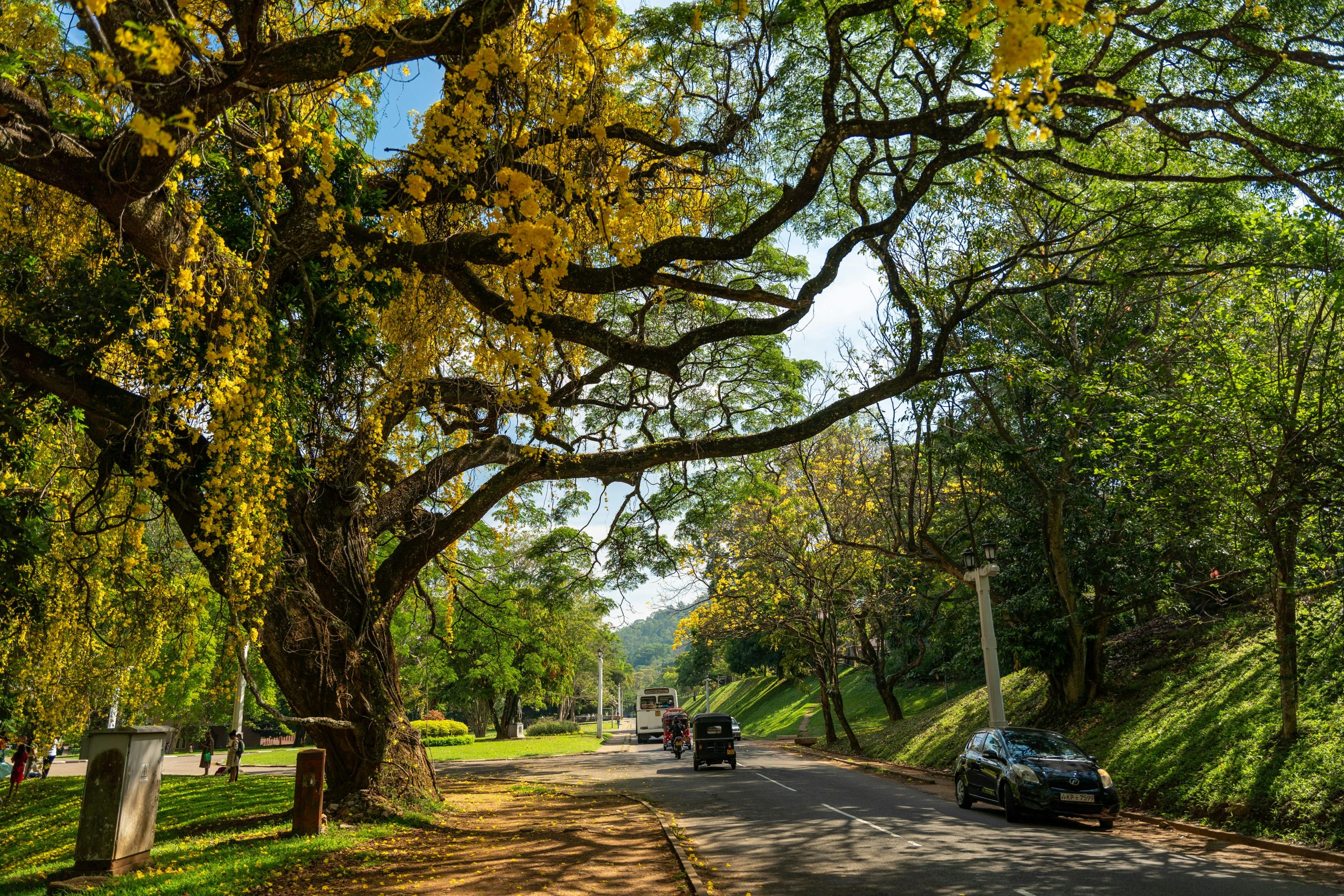 Royal Botanical Gardens