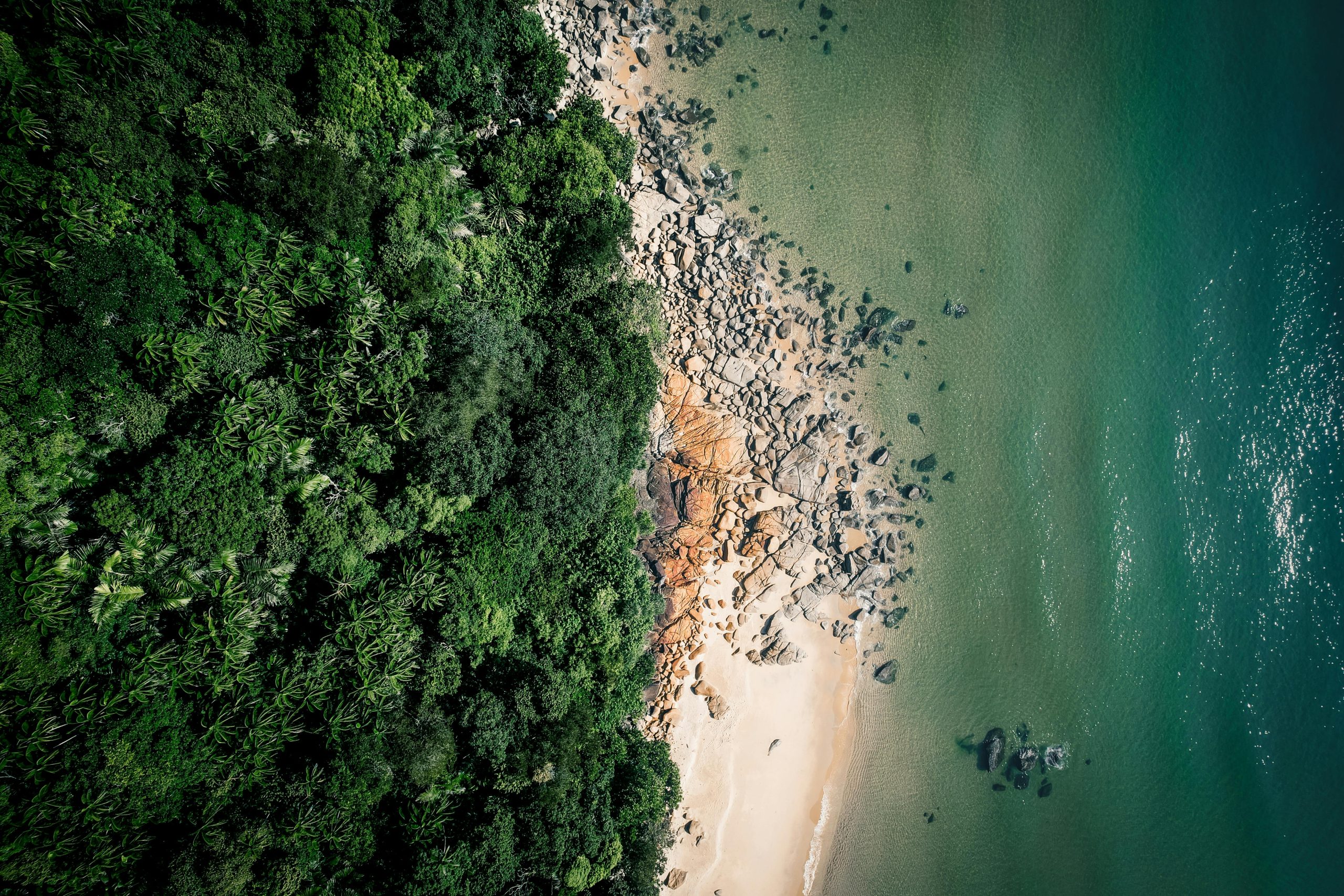 Jungle Beach