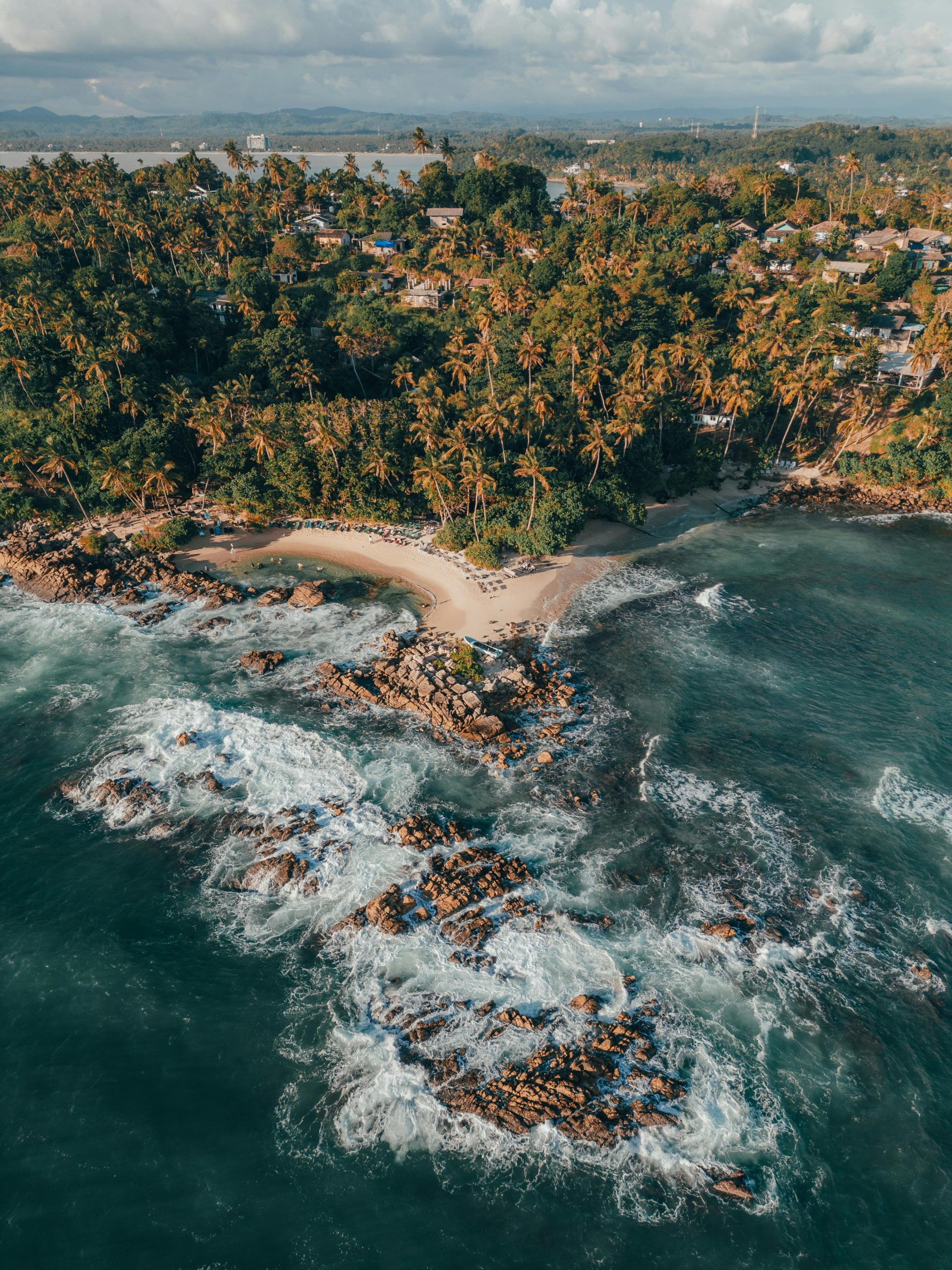 Parrot Rock