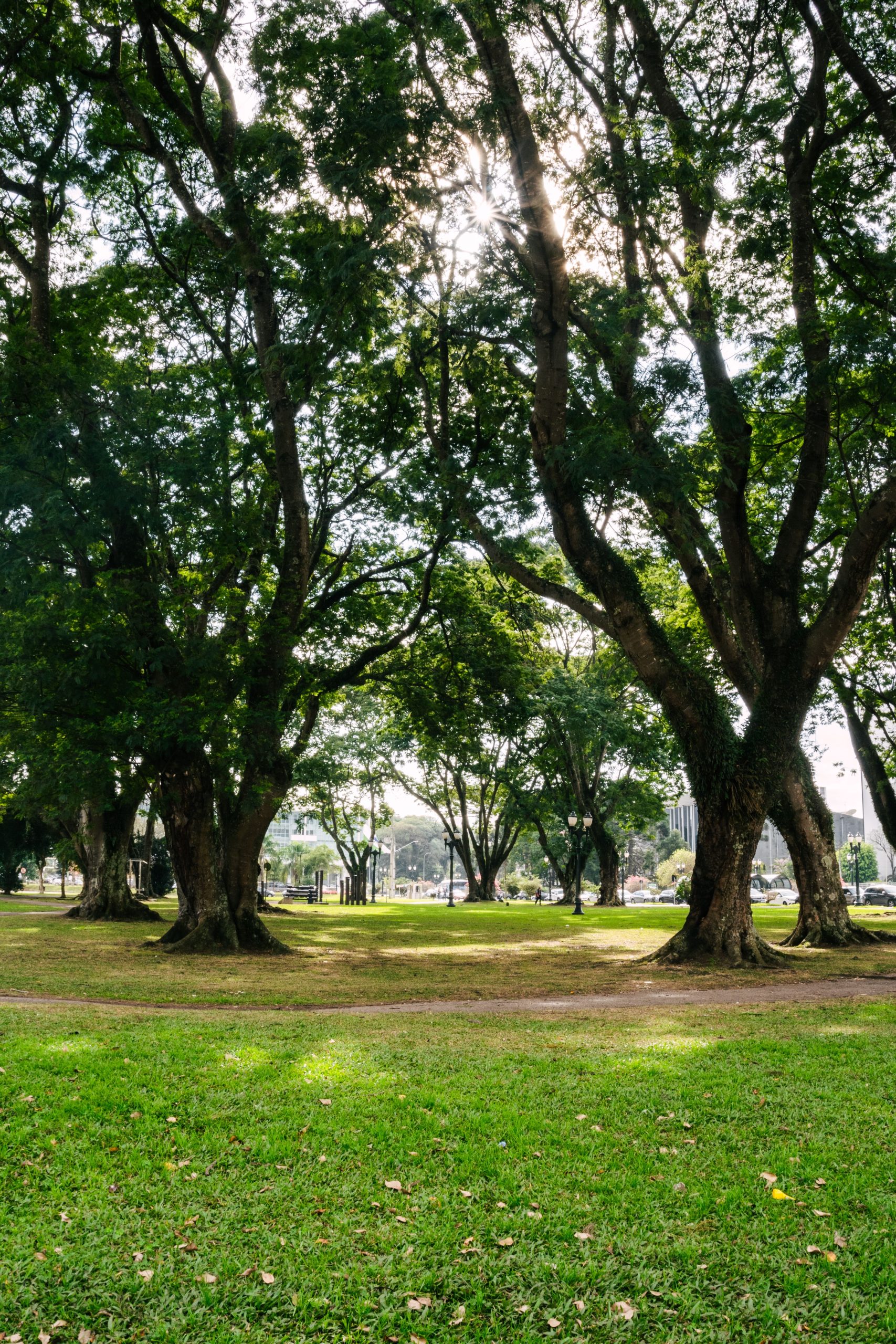 Viharamahadevi Park
