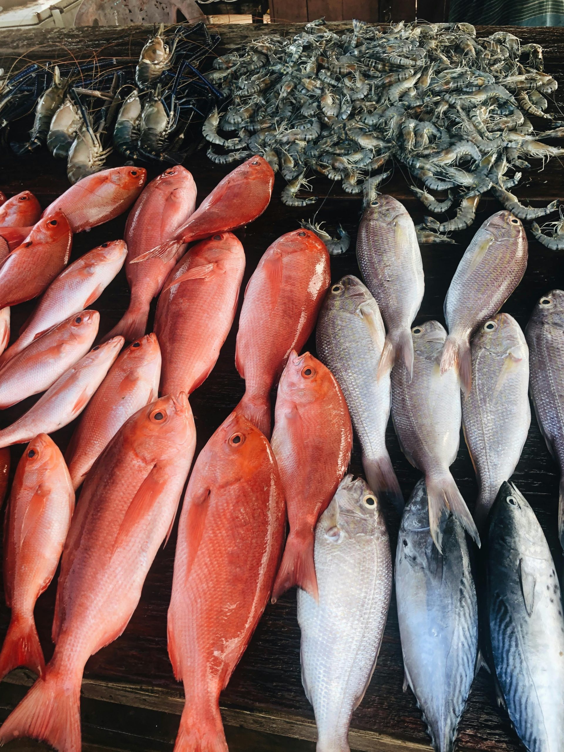 Negombo Fish Market