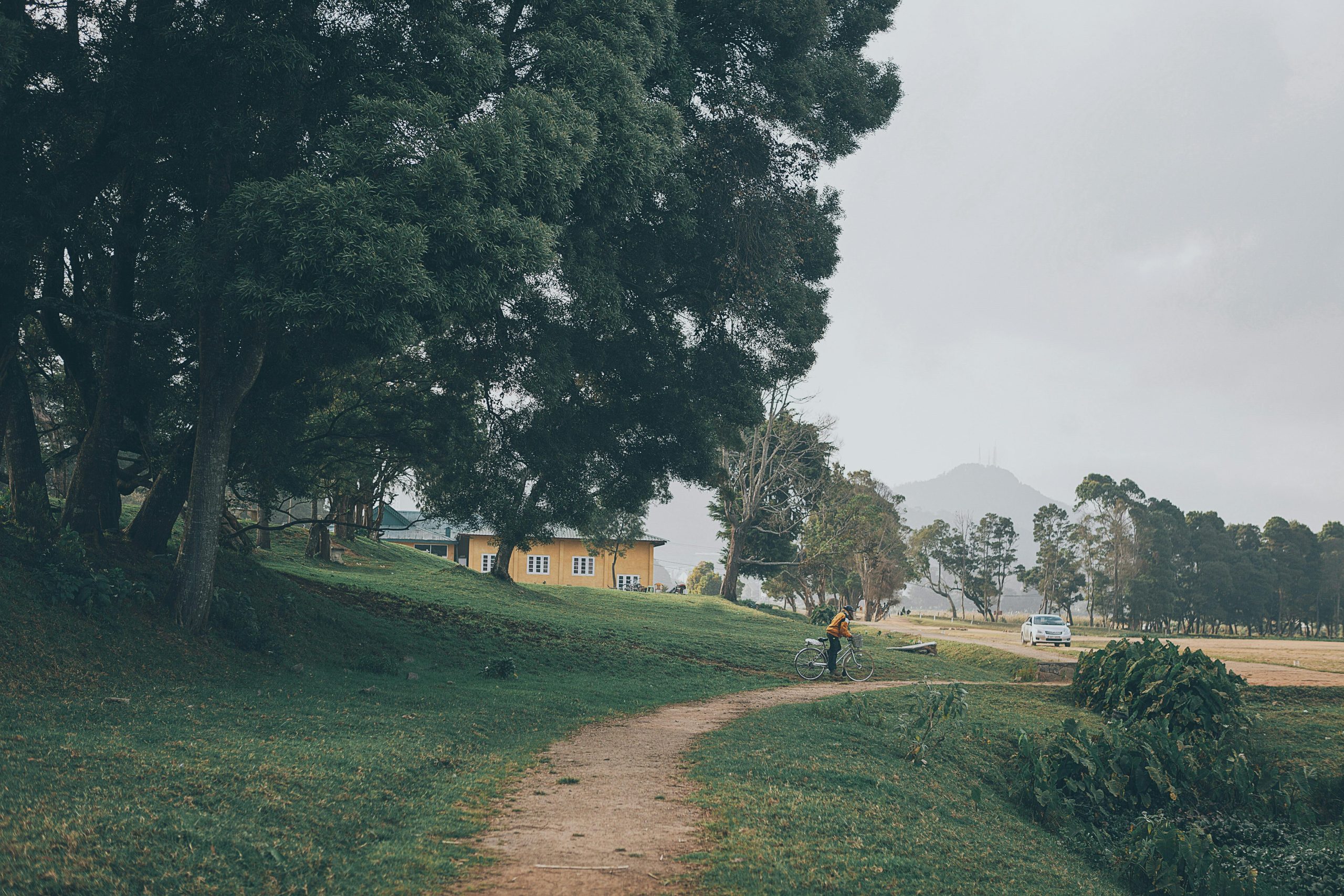 Peaceful rural scene with a cyclist on a path through greenery in Sri Lanka.