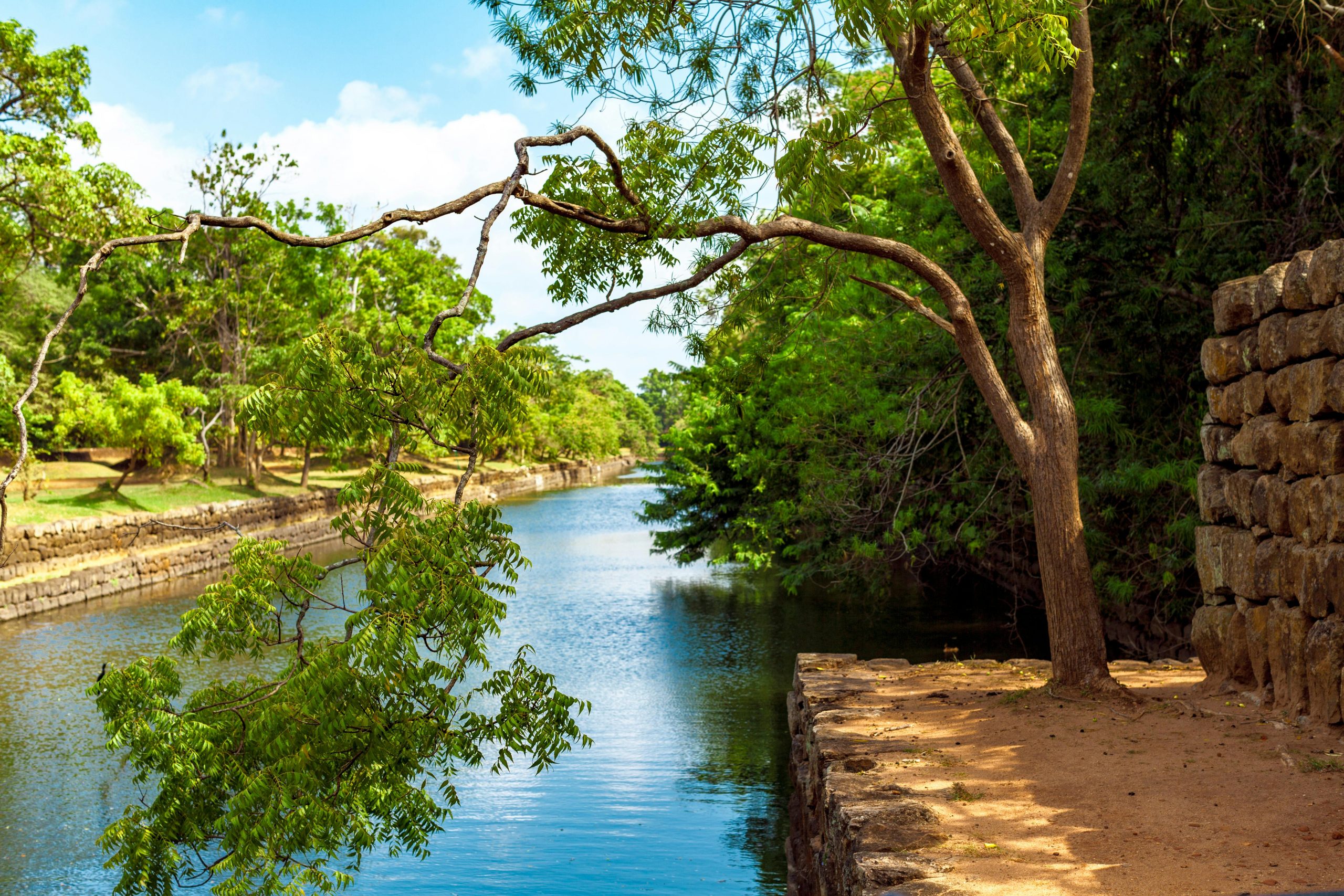 Tranquil scene of Sigiriya's lush greenery and historic water channel, Sri Lanka.